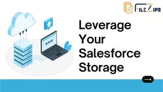 leverage your salesforce storage