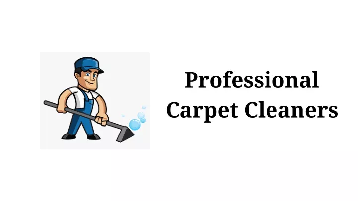 professional carpet cleaners