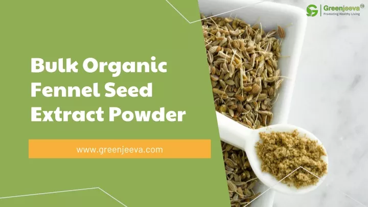 bulk organic fennel seed extract powder