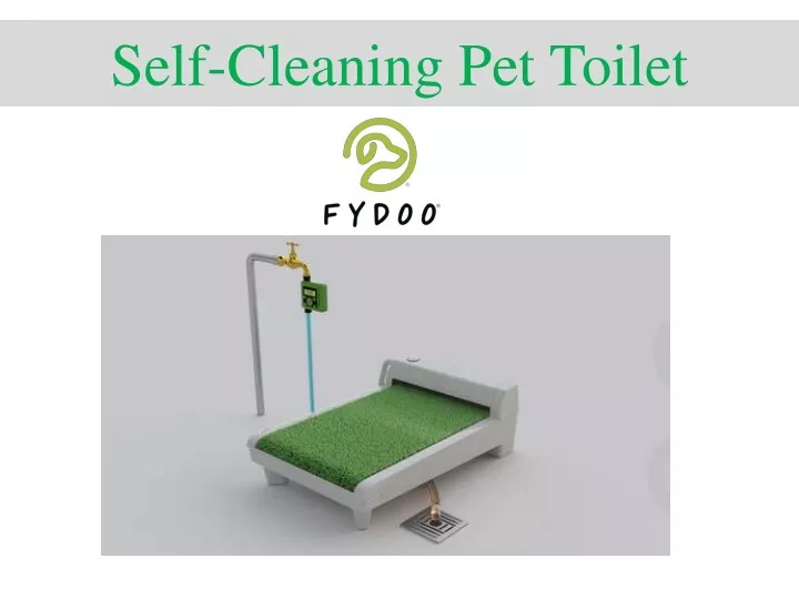 self cleaning pet toilet