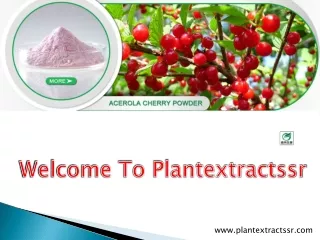 Welcome To Plantextractssr