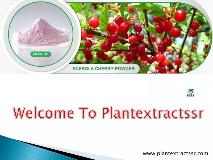 welcome to plantextractssr