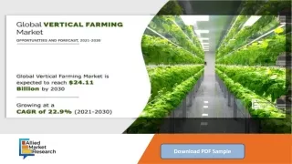 Vertical Farming Market Analysis with COVID-19 Impact, Top Companies, Growth, Tr