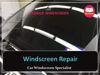 windscreen repair