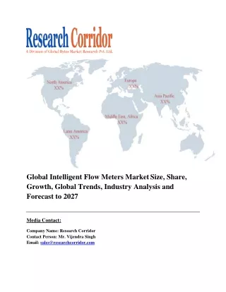 global intelligent flow meters market size share