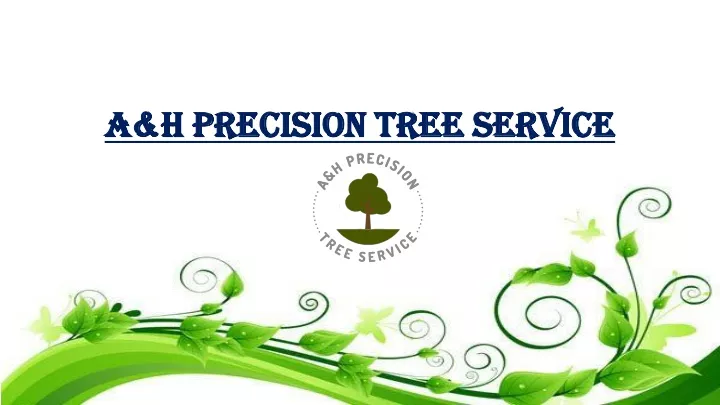 a h precision tree service