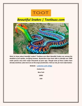 Beautiful Snakes | Tootbuzz.com
