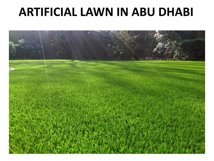 artificial lawn in abu dhabi
