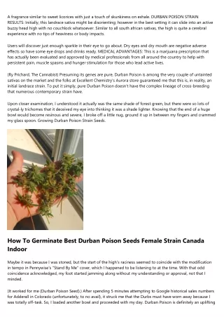 12 Valuable Tips For Growing Excellent Durban Poison Seeds Fem