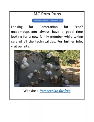 Pomeranian for Free  Mcpompups.com