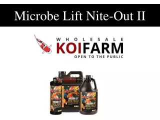 microbe lift nite out ii