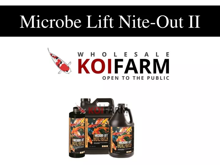 microbe lift nite out ii