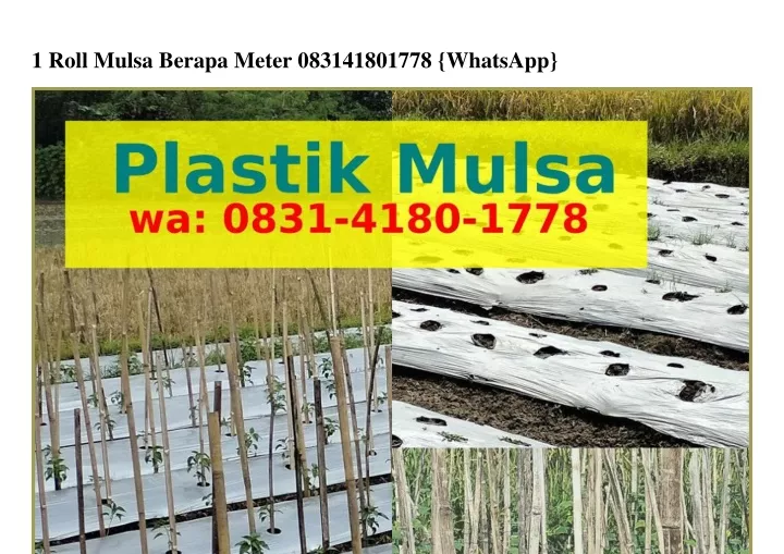 1 roll mulsa berapa meter 083141801778 whatsapp