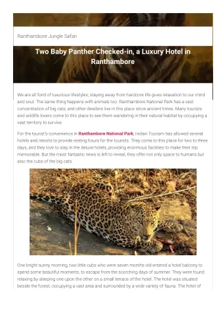 Two Baby Panther Checked-in, a Luxury Hotel in Ranthambore