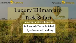 Luxury Kilimanjaro Trek safari