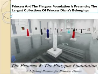 Princess And The Platypus Foundation Is Presenting The Largest Collections Of Princess Diana’s Belongings