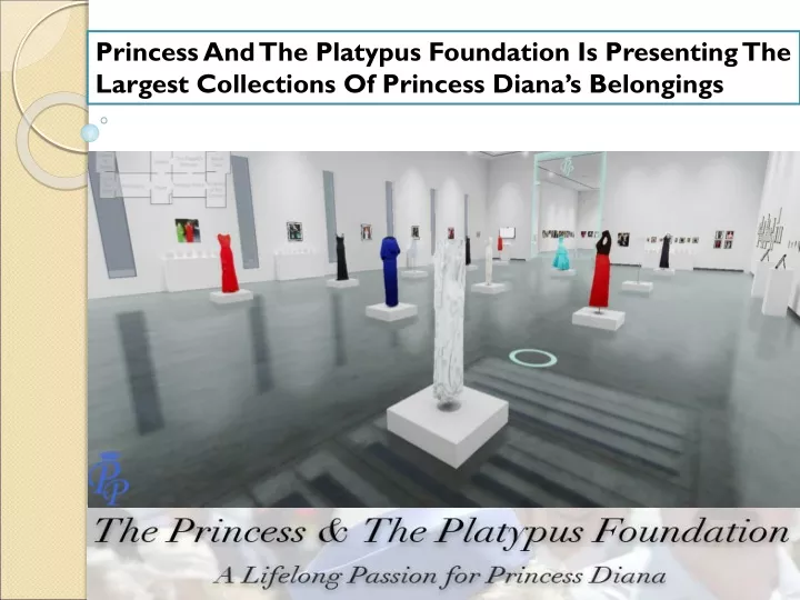 princess and the platypus foundation