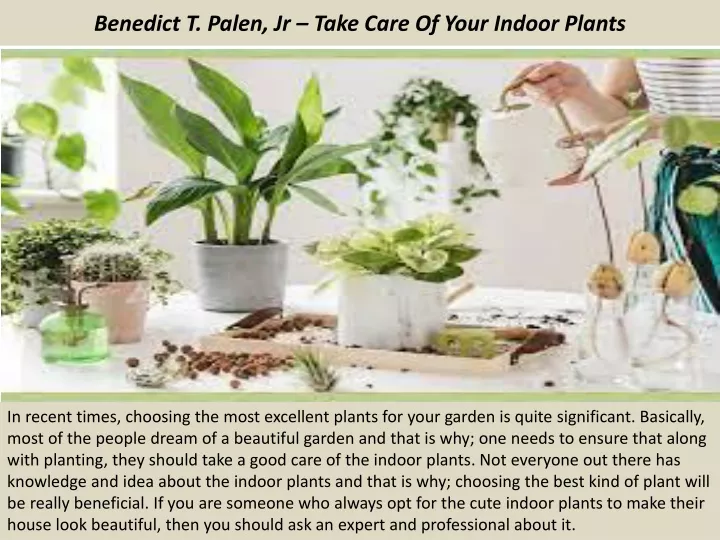 benedict t palen jr take care of your indoor plants