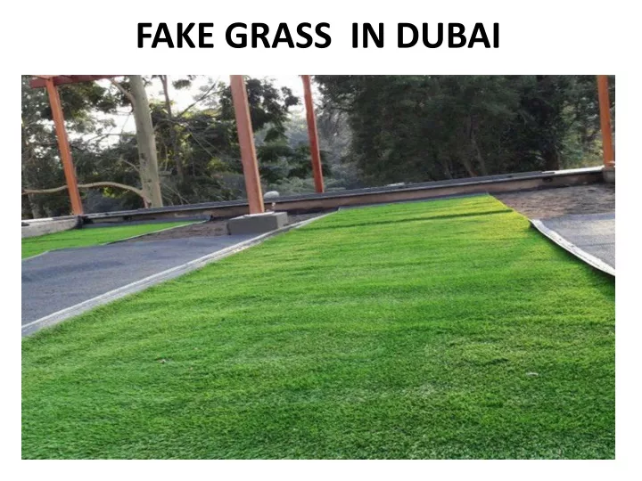 fake grass in dubai