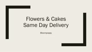 Same Day Flower Delivery Services New Zealand