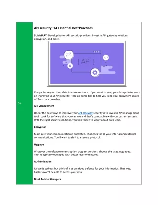 api security 14 essential best practices summary
