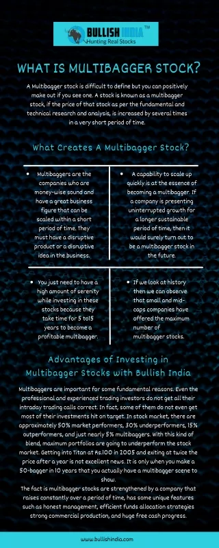 what is multibagger stock a multibagger stock