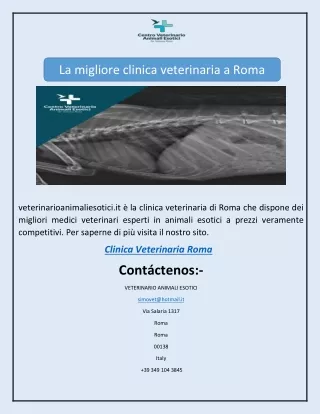 La migliore clinica veterinaria a Roma
