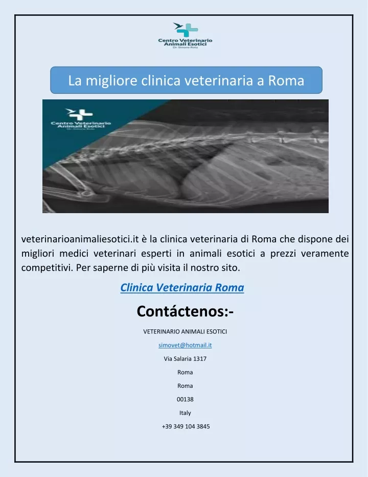 la migliore clinica veterinaria a roma