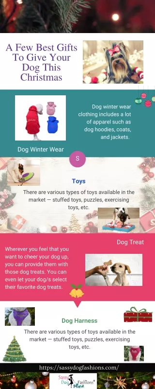 A Few Best Gifts To Give Your Dog This Christmas