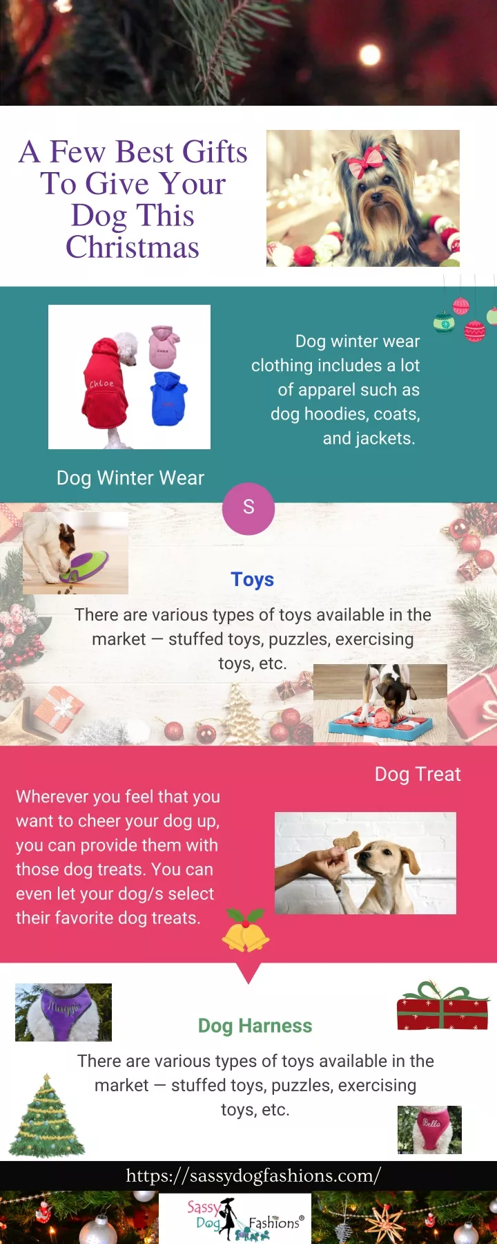 a few best gifts to give your dog this christmas