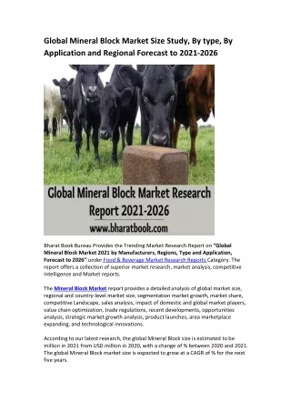 global mineral block market size study by type