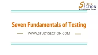 Seven Fundamentals of Testing