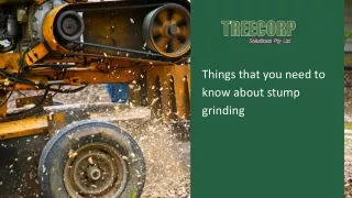 Things that you need to know about stump grinding