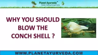 Why should Blow the Conch Shell?- Health Benefits