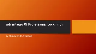 advantages of professional locksmith