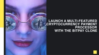Launch a multi-featured cryptocurrency payment processor with the Bitpay clone