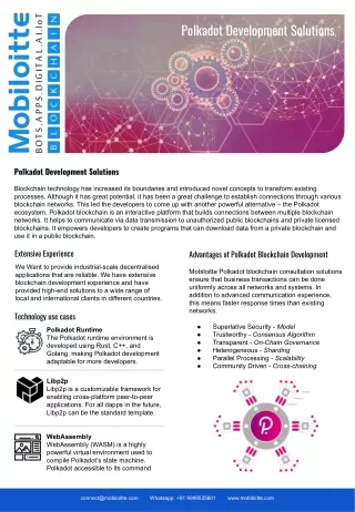 polkadot development solutions