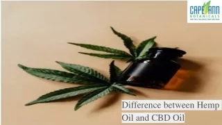 Difference between Hemp Oil and CBD Oil - Cape Ann Botanical