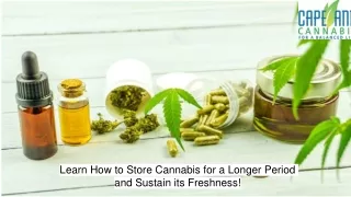 Store Cannabis for a Longer Period - Cape Ann Cannabis