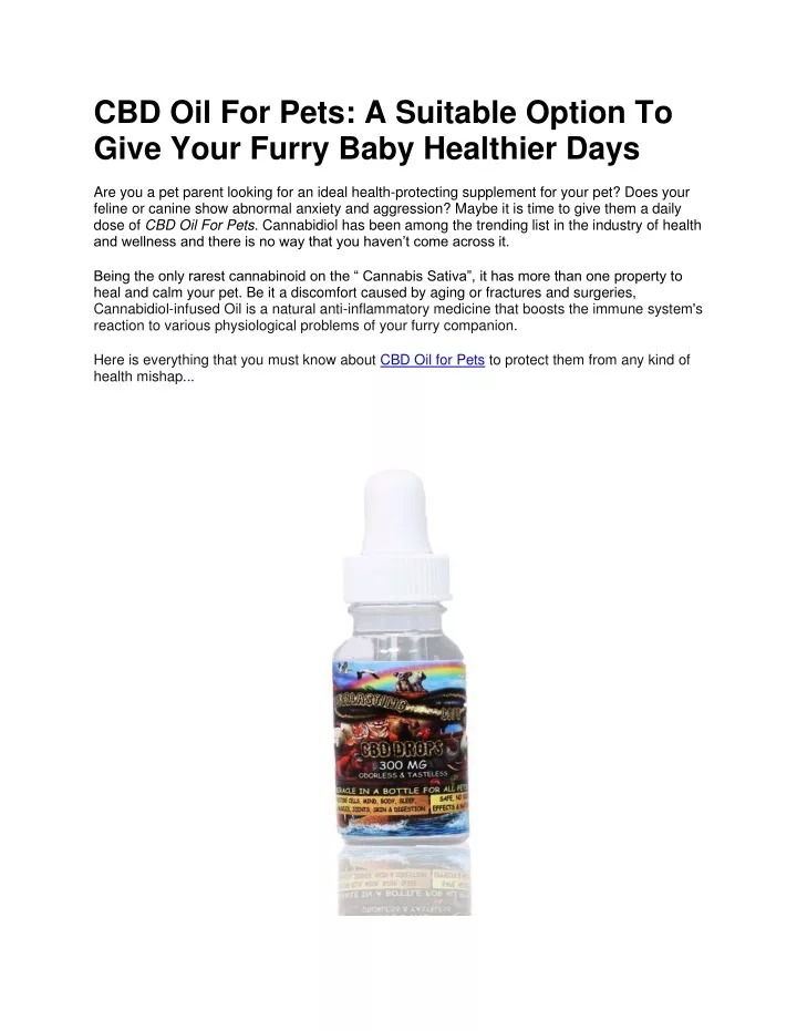 cbd oil for pets a suitable option to give your