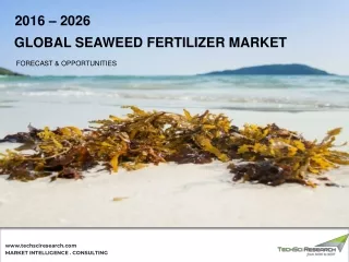 Global Seaweed Fertilizer Market 2026