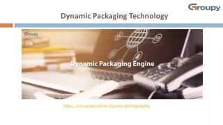 dynamic packaging technology