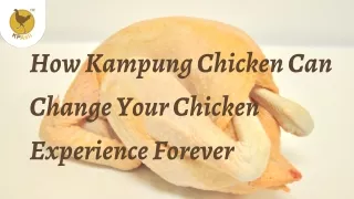 How Kampung Chicken Can Change Your Chicken Experience Forever |KP Asli