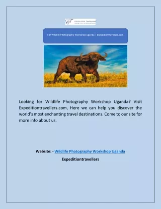 For Wildlife Photography Workshop Uganda | Expeditiontravellers.com