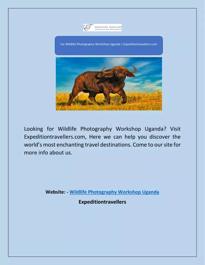 for wildlife photography workshop uganda