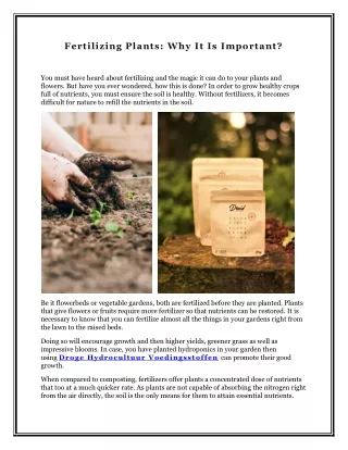 Fertilizing Plants: Why It Is Important?