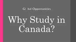 why study in canada