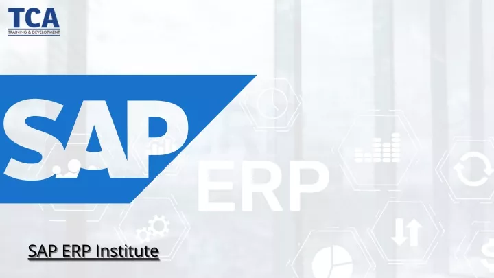 sap erp institute sap erp institute