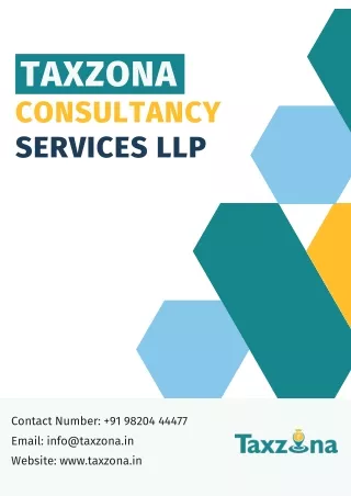 Taxzona Consultancy Flyer