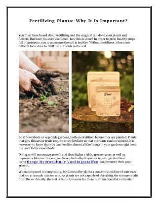 Fertilizing Plants: Why It Is Important?